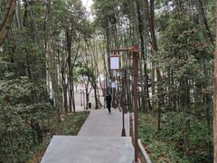 -峨眉山报国寺