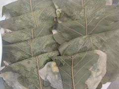 -龙香居海鲜浑锅家常菜·特色驴肉