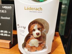 -Laderach 莱德拉(上海环贸iapm店)