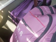 -爱月宝月嫂·育儿嫂(哈尔滨总店)