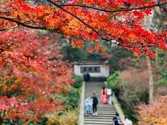 -虎跑公园