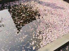 -大雁塔北广场音乐喷泉
