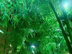 -盟重烧烤(高正街店)