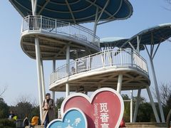 -铁山坪森林公园