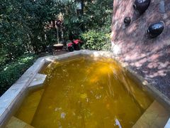 -天目湖涵田半山温泉