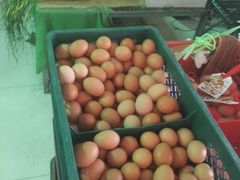 -四季水果蔬菜园(闽江路店)