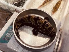 -长平肥姐白粥·海鲜打冷