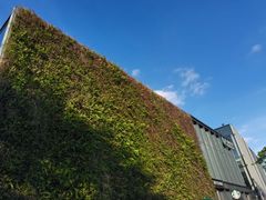 -星巴克(深圳前海企业公馆店)