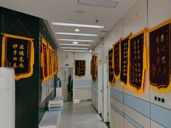 -中农国际动物医院24小时·猫科·骨科·急重症中心
