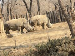 -北京野生动物园