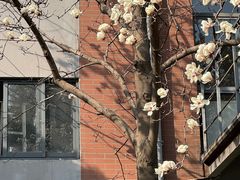 -南京晨光1865创意产业园
