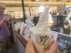 -野人先生Gelato(上海长宁龙之梦店)