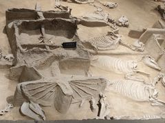 -洛阳周王城天子驾六博物馆