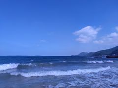 -杨梅坑