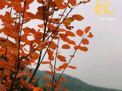 -北京西山国家森林公园