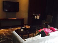 picture-常州环球恐龙城维景国际大酒店