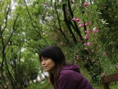 -鹅湖玫瑰文化园