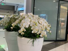 -远洋未来广场(育慧北路店)