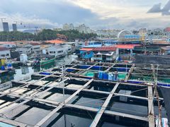 -蓝湾碧波·老字号·疍家非遗海上餐厅