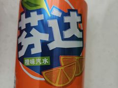 芬达听-天津雅园饭店(成林道店)