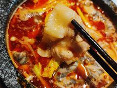 -狼爱上羊音乐火锅