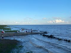 -南汇嘴观海公园