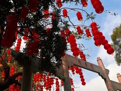 -人民公园(罗湖区)