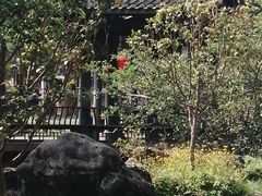 -平乐古镇