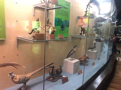 -陕西自然博物馆