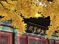 -红螺寺