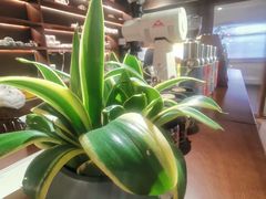 -沏点Trattoria意大利餐厅(新街口店)