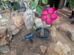 -国家植物园南园