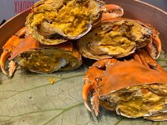 -新光酒家·河豚·海鲜·蟹料理(浦东店)