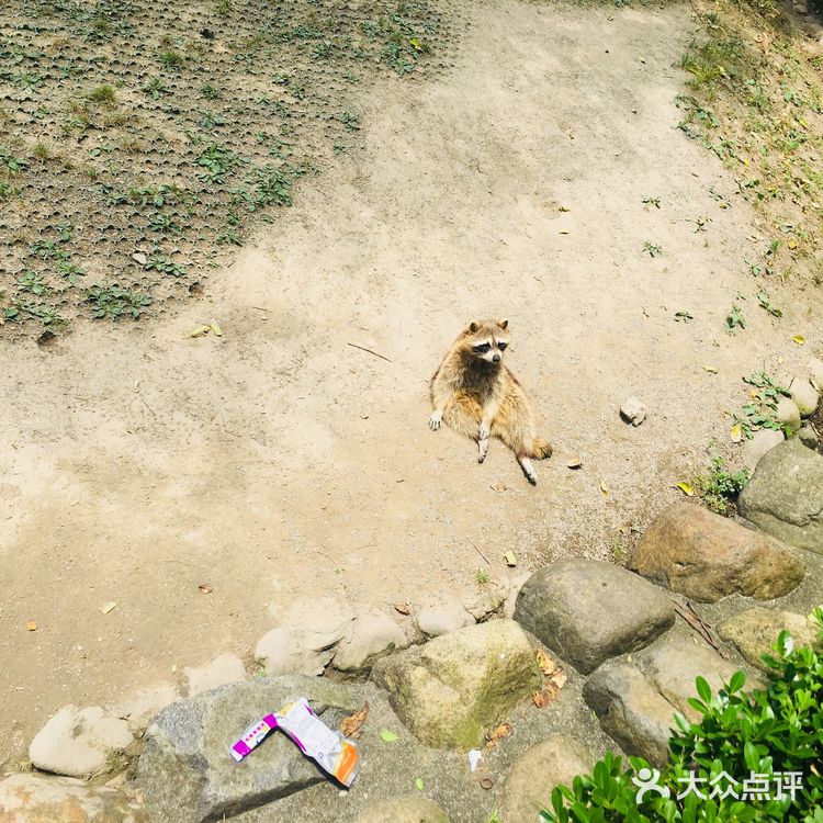 野生动物园