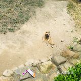 野生动物园