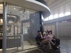 -谢列梅捷沃国际机场