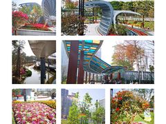 -文华公园(禅城区)