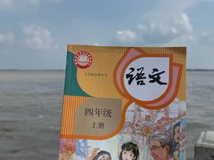 -观潮胜地公园