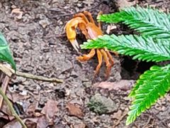 -七仙岭温泉国家森林公园