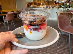 -Wagas沃歌斯(汇智店)