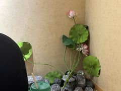-剧狐剧本杀·月球探案馆(人民广场1号店)