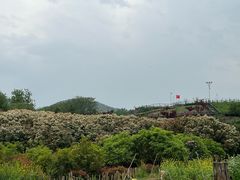 -石塘人家