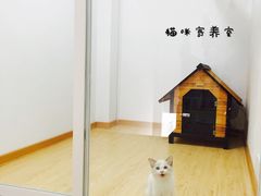 -BABYDOG宝贝狗宠物乐园(欧洲城店)