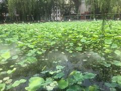 -四川大学(望江校区)