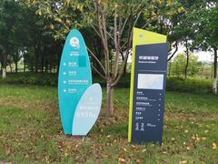 -贡湖湾湿地公园