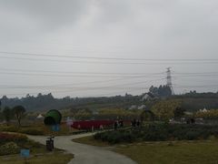 -紫颐香薰山谷景区