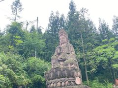 -武陵山森林公园