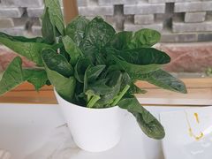 -周师兄大刀腰片火锅(磁器口直营店)