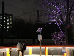 -坝河休闲公园