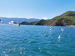 -泸沽湖里格半岛